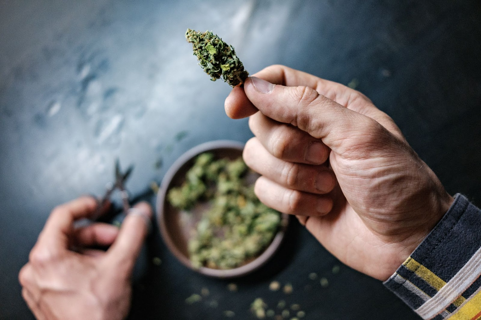 Hand holding a cannabis bud with scissors and a bowl of trimmed buds in the background.