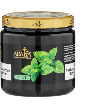 Best Hookah Shop in Houston & Angleton